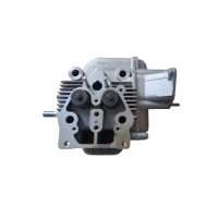 Головка блоку циліндрів в зборі (1) до дизельного двигуна VORSKLA ПМЗ 192F-492DS/T