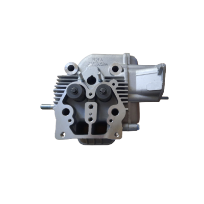 Головка блоку циліндрів в зборі (1) до дизельного двигуна VORSKLA ПМЗ 192F-492DS/T